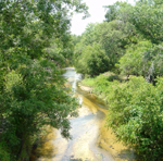 peace river preserve river