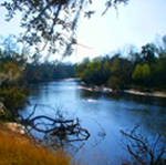 peace river preserve